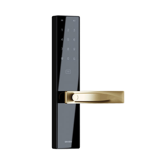 WiFi Smart Door Lock Golden handle S2